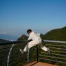 Jason Chen's profile picture
