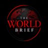 The World Brief's profile picture