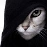 Profilbild von qwee
