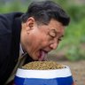 阿阿維 profil fotoğrafı