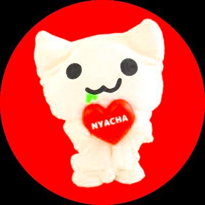 にゃーちゃ、🐈🍵✨'s profile picture