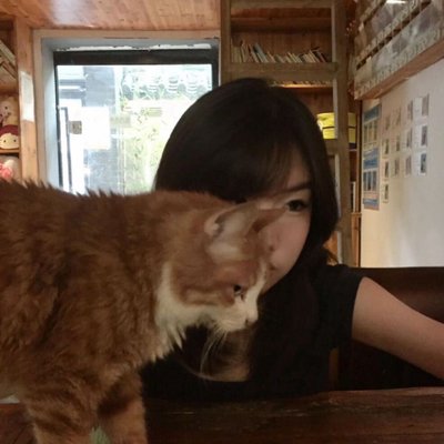 Siufa0's profile picture