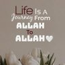 Profilbild von Ummufarhanah