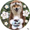🦦🐼みゆてち🎸🐕 profil fotoğrafı