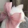 kübra's profile picture