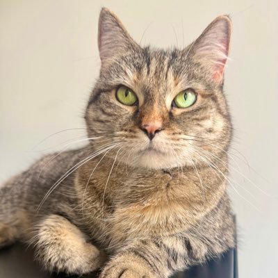 Pickle's profile picture