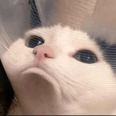 mr_lurky's profile picture