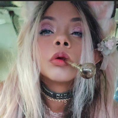 Ex○tik Spun Kitten's profile picture