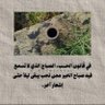 Фото профиля الحياه.