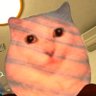 毒とに子's profile picture
