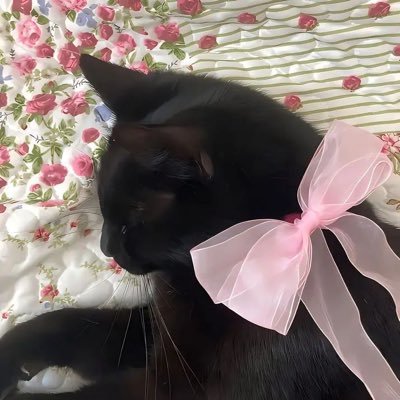RON's profile picture