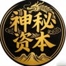 神秘资本 | AnyAi🟦 profil fotoğrafı