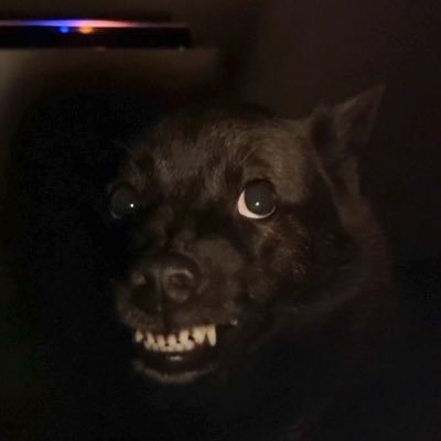 CFTnagi's profile picture