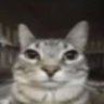 ً's profile picture
