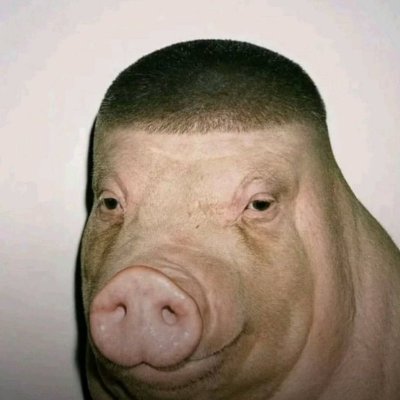 Noah's profile picture