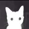 Sarcasterbater🇮🇳's profile picture