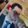 Profilbild von دايس الفلول