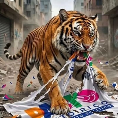 CesarDarioRuiz6's profile picture