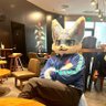 小岑peter cen furry's profile picture