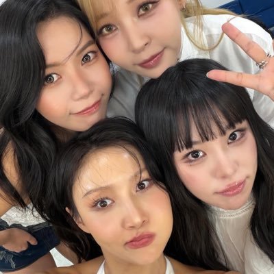 Portal MAMAMOO #4WARD's profile picture