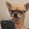 Tom profil fotoğrafı