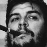 Profilbild von Custodian