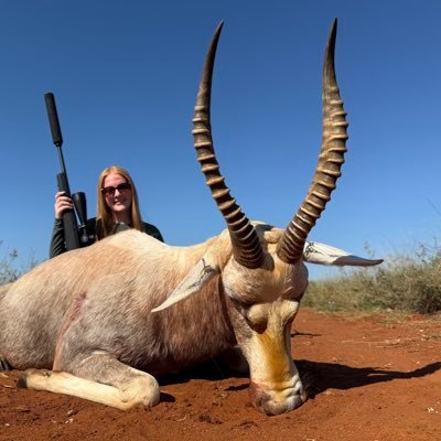 David Bess's profile picture
