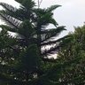 kartika profil fotoğrafı