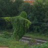 Третий помысел profil fotoğrafı