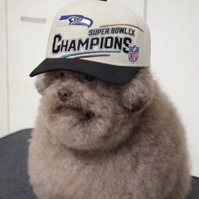 Shadow's profile picture