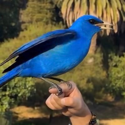@DrMoTwiterrr 🇪🇬 Mo د.تويتر's profile picture