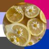 Profilbild von ☀️ Lemonade joytwt ☀️