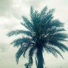 ابراهيم الأحمدي 的头像