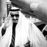 الكستناء's profile picture
