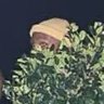 boogeyMan profil fotoğrafı
