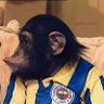🐵Maymuş🐵 的头像