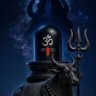 Profilbild von Manoj Samant