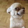 Profilbild von lolas island