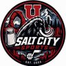 Salt City Sports's profile picture