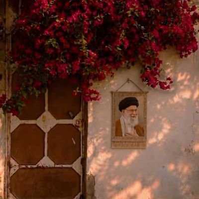 ashiyan1705's profile picture