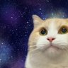 .SRyoukan profil fotoğrafı