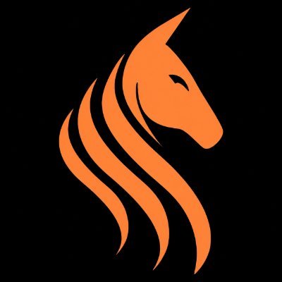 Team Stallions's profile picture