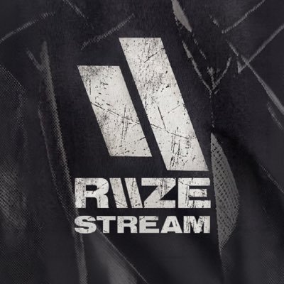 라이즈 음원총공팀's profile picture