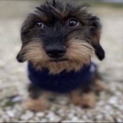Nivilson lifelovertwt's profile picture