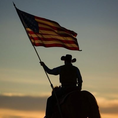 DeIntelpatriot's profile picture