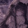 リウ 的头像