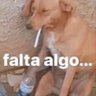 Extrato de tomate's profile picture