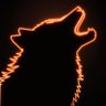 Фото профиля Lone Wolf