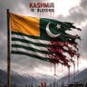 Kashmiri's profile picture
