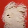 Bill.'s profile picture